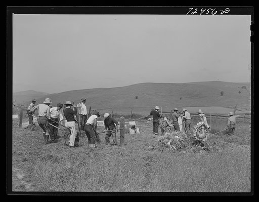 San Juan Bautista, California. Japanese-Americans clean their cemetery before they are evacuated