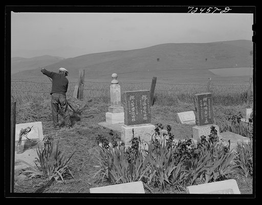 San Juan Bautista, California. Japanese-Americans clean their cemetery before they are evacuated