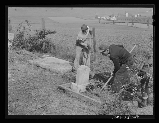 San Juan Bautista, California. Japanese-Americans clean their cemetery before they are evacuated