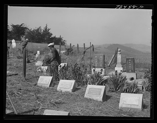 San Juan Baustista, California. Japanese-Americans clean their cemetery before being evacuated under United States Army war emergency order