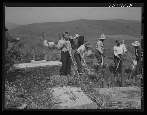 Untitled photo, possibly related to: San Juan Bautista, California. Japanese-Americans clean their cemetery before they are evacuated