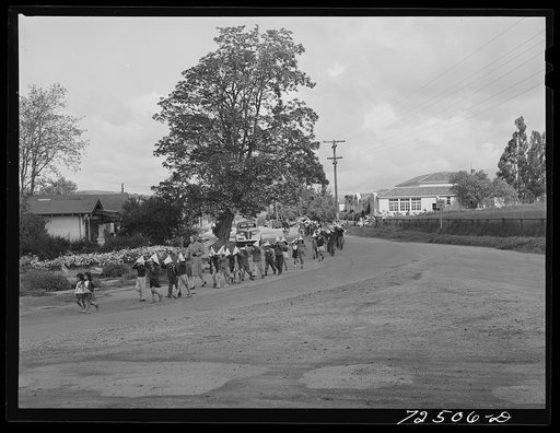 San Juan Bautista, California. Schoolchildren parading with scrap metal which they have collected for war
