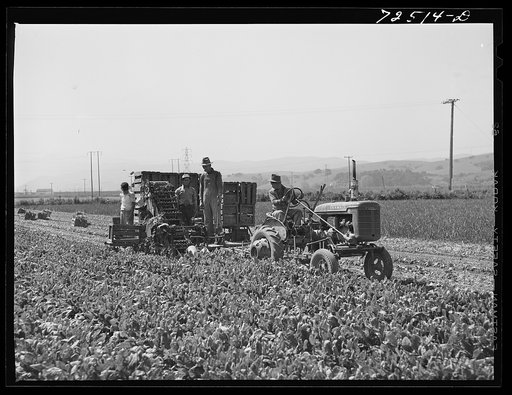 San Benito County, California. Spinach harvester operated by Japenese-Americans as they await final evacuation orders