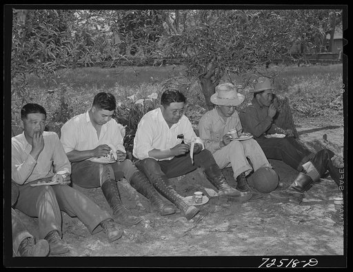 San Benito County, California. Japanese-Americans at a picnic just before their evacuation from the area