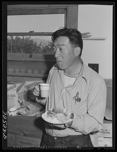San Benito County, California. Japanese-Americans at picnic