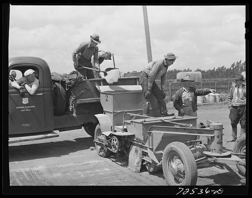 Salinas, California. Pouring sand into guayule planter at the nursery. The guayule project is under the supervision of the U.S. Forest Service