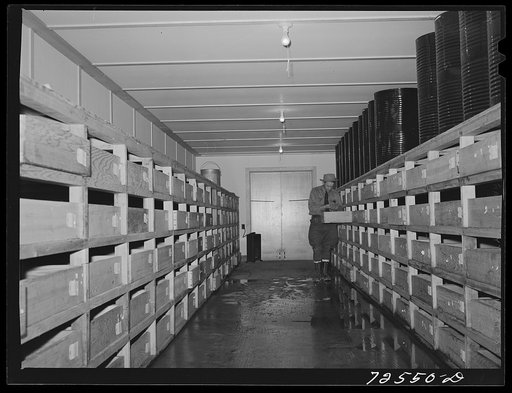 Salinas, California. Drying room for guayule seed