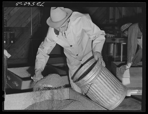 Untitled photo, possibly related to: Salinas, California. Treating room for guayule seed