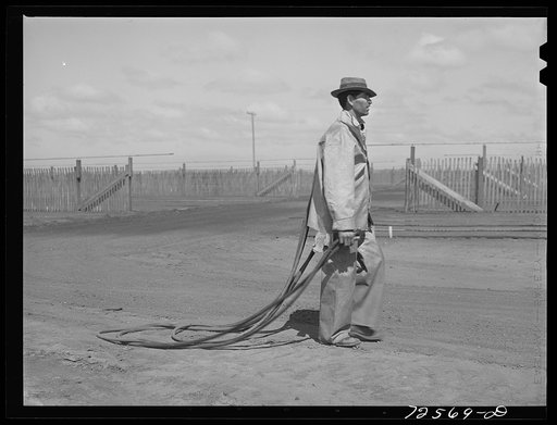 Salinas, California. Irrigator in guayule nursery