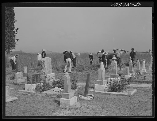 Japanese-Americans clean their cemetery before they are evacuated. San Juan Bautista, California
