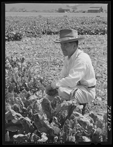 San Benito County, California. Japanese-American who is waiting for his final evacuation orders