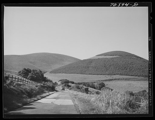 San Benito County, California. Road through the low hills