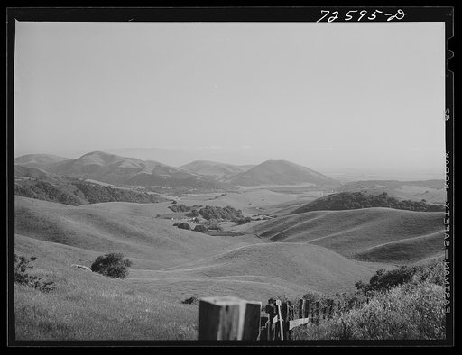 Untitled photo, possibly related to: San Benito County, California. Low hills which are used for cattle and sheep grazing