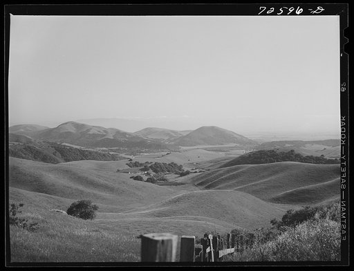 Untitled photo, possibly related to: San Benito County, California. Low hills which are used for cattle and sheep grazing