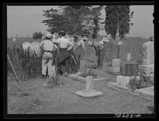 San Juan Bautista, California. Japanese-Americans clean their cemetery before they are evacuated