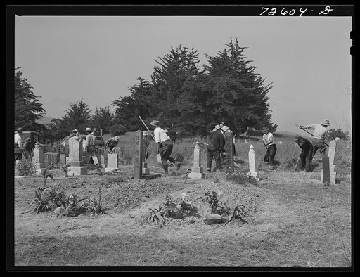 San Benito County, California. Japanese-Americans, waiting for evacuation orders, clean their cemetery