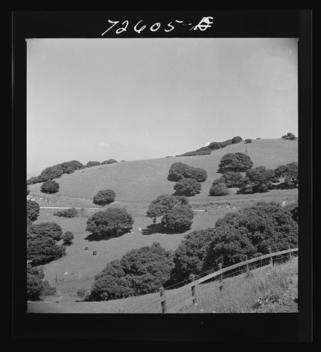 San Benito County, California. Low hills