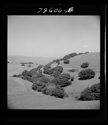 Untitled photo, possibly related to: San Benito County, California. Low hills