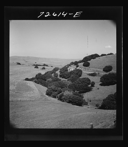 Untitled photo, possibly related to: San Benito County, California. Low hills
