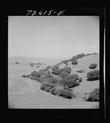Untitled photo, possibly related to: San Benito County, California. Low hills