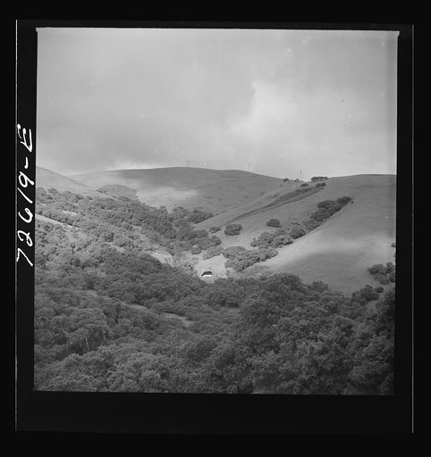 Untitled photo, possibly related to: San Benito County, California. Low foothills which are grazing ground for cattle and sheep