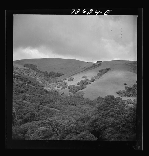 Untitled photo, possibly related to: San Benito County, California. Low foothills which are grazing ground for cattle and sheep