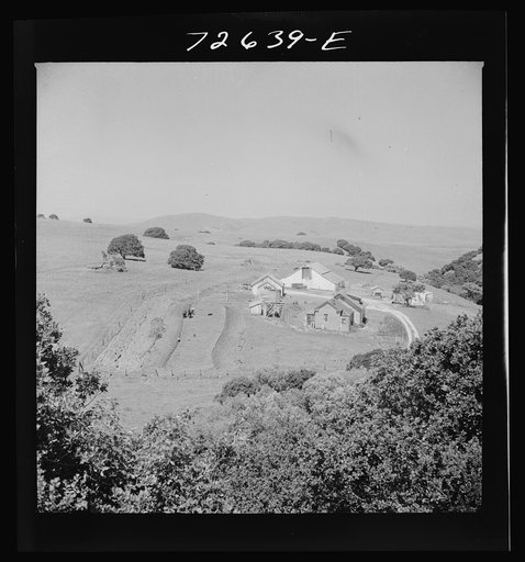 San Benito County, California. Farmstead in the low hills