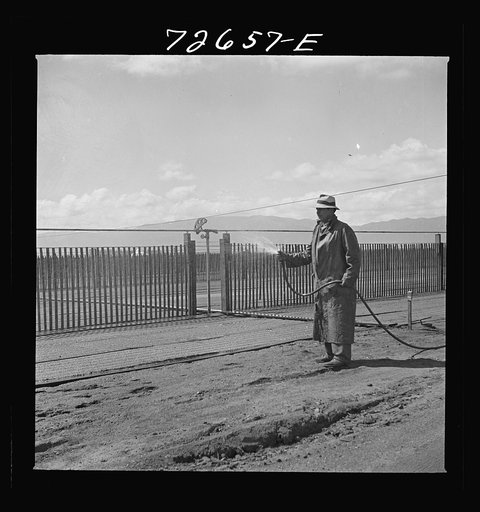 Untitled photo, possibly related to: Salinas, California. Irrigator at guayule nursery