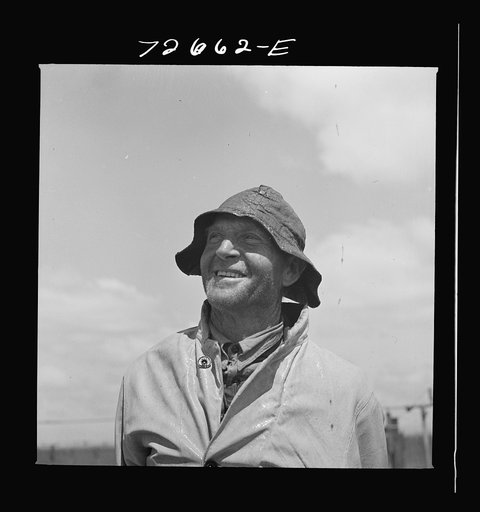 Salinas, California. Irrigator at guayule nursery