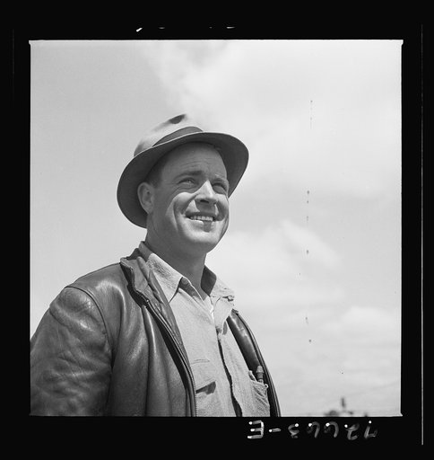 Salinas, California. Workman at guayule nursery