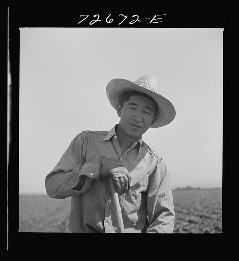San Benito County, California. Japanese-American who is working in field while awaiting final evacuation orders