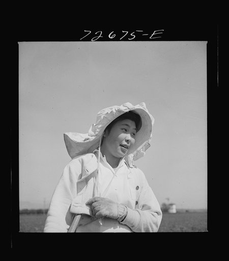 San Benito County, California. Japanese-American who is working in field while awaiting final evacuation orders