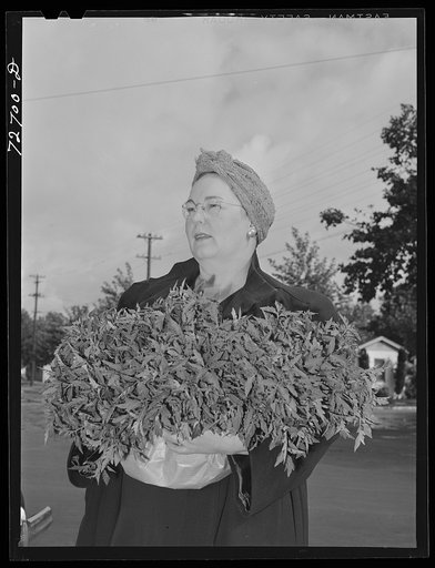 Untitled photo, possibly related to: Turlock, California. Housewife who is president of PTA (Parent Teacher Association) with armload of tomato plants which will be planted in school garden. The tomatoes will be used for school lunches, and the surplus canned