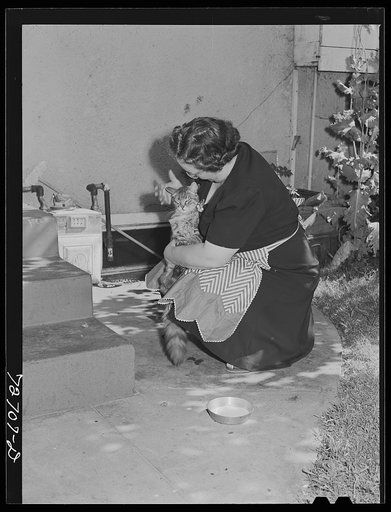 Turlock, California. Housewife with her pet cat