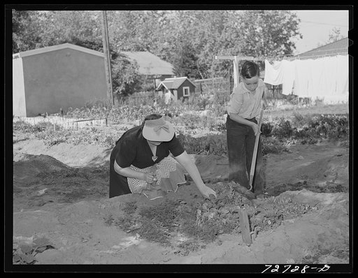 Turlock, California. Housewife helps her son with his garden