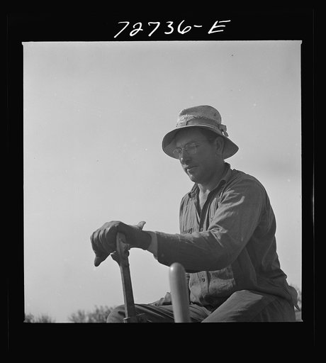 Merced County, California. Farmer operating peanut planter. He is first man in California to plant peanuts, which are now needed for oil