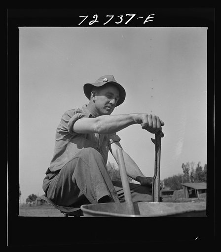 Untitled photo, possibly related to: Merced County, California. Planting peanuts. These are the first peanuts to be planted in California