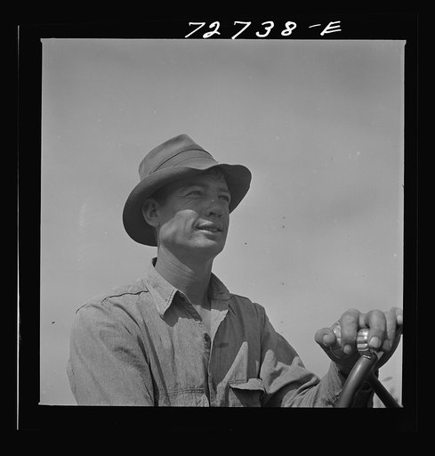Merced County, California. Tractor operator
