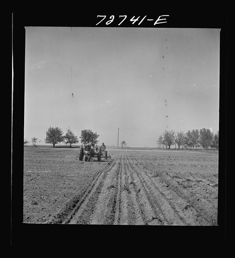 Untitled photo, possibly related to: Merced County, California. Planting peanuts