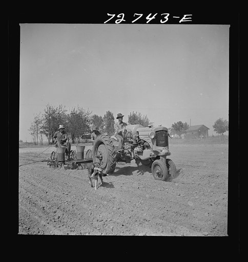 Untitled photo, possibly related to: Merced County, California. Planting peanuts
