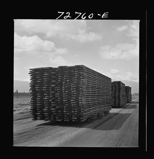 Salinas, California. Piles of duckboards for guayule nursery