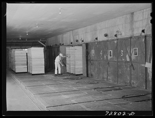 Turlock, California. Punching racks of cabbage into drying tunnels at dehydrating plant