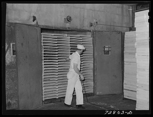 Turlock, California. Pulling rack of cabbage from drying tunnels at dehydrating plant