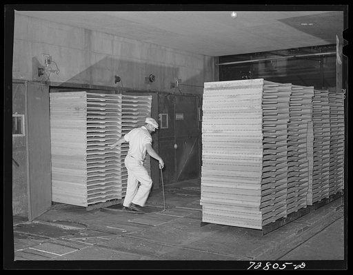 Turlock, California. Racks of cabbage are pulled from drying tunnel in dehydrating plant