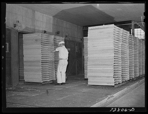 Untitled photo, possibly related to: Turlock, California. Punching racks of cabbage into drying tunnels at dehydrating plant