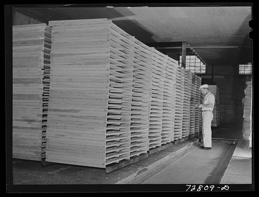 Turlock, California. Racks of cabbage which will be dried in tunnel. Dehydrating plant