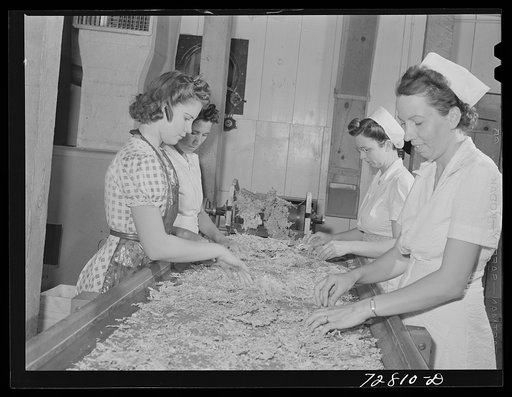 Turlock, California. Inspecting dehydrated cabbage