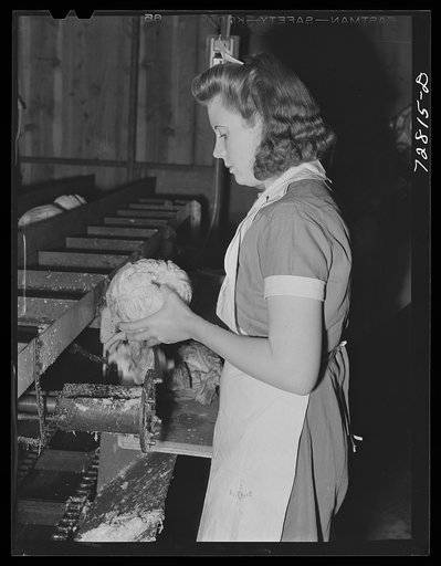 Turlock, California. Removing outer leaves from cabbage which will be dehydrated