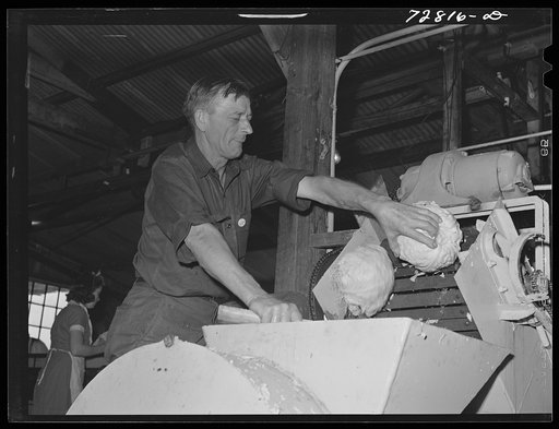 Turlock, California. Workman inspects equipment in dehydrating plant