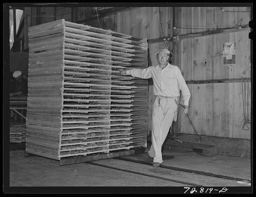 Turlock, California. Trays of cabbage are moved on tracks into drying tunnel at dehydrating plant